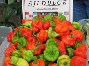 Aji dulce